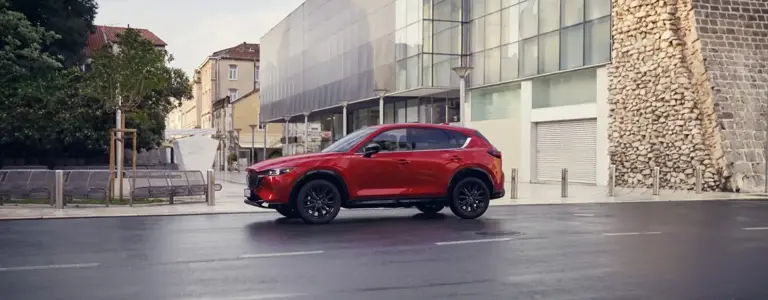 ¿CÓMO FRENAR EN CASO DE EMERGENCIA Y MANTENER EL CONTROL DEL AUTO?