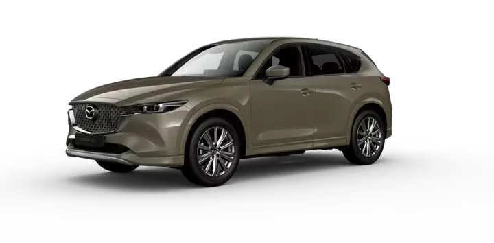 SIGNATURE 2.5T AWD 6AT - BEIGE ARENA Exterior