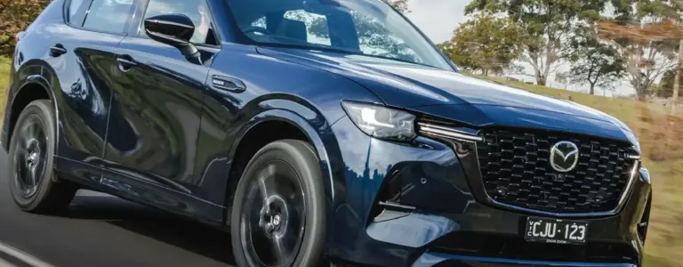 ¿QUÉ RECOMENDACIONES SEGUIR PARA ELEGIR SUV GRANDES?