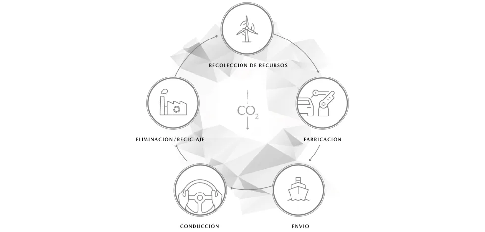 PERSPECTIVA DEL CICLO DE VIDA