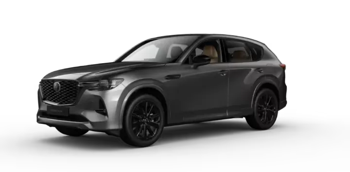 SIGNATURE 2.5 HIBRIDO ENCHUFABLE TAN - GRIS METÁLICO Exterior