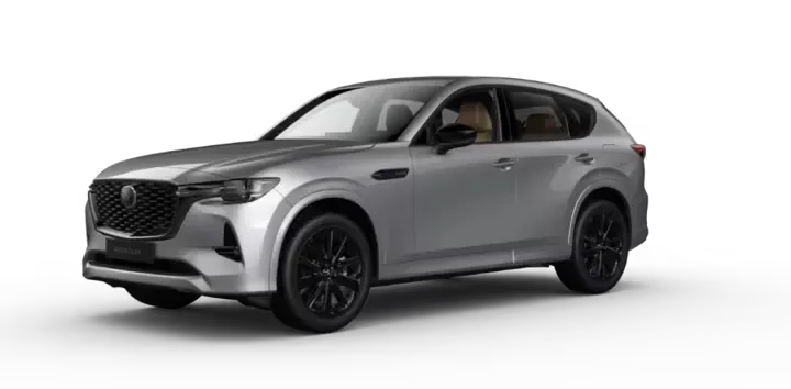 SIGNATURE 2.5 HIBRIDO ENCHUFABLE TAN - PLATA METALIZADO Exterior