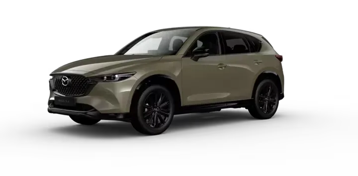 SPORT 2.5 AWD 6AT - BEIGE ARENA Exterior