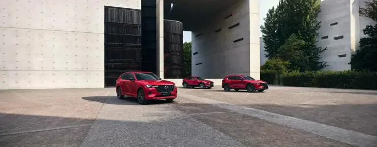 SUV COMPACTO O SUV GRANDE: CÓMO SABER CUÁL ES EL TUYO